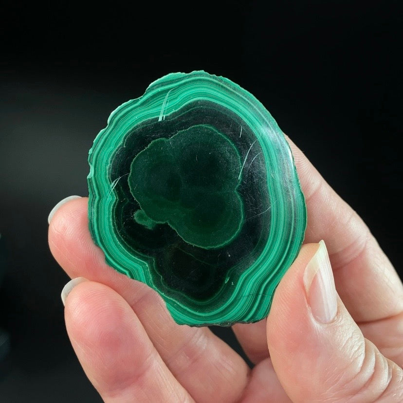 Malachite Polished Slice, Kolwezi, DR Congo