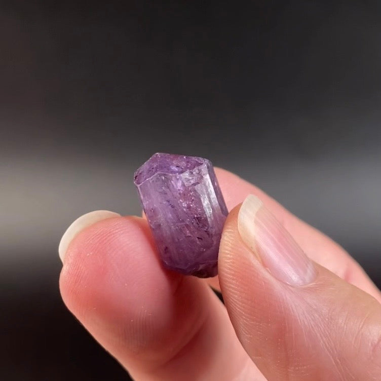 Scapolite Var. Marialite Crystal from Badakhshan, Afghanistan