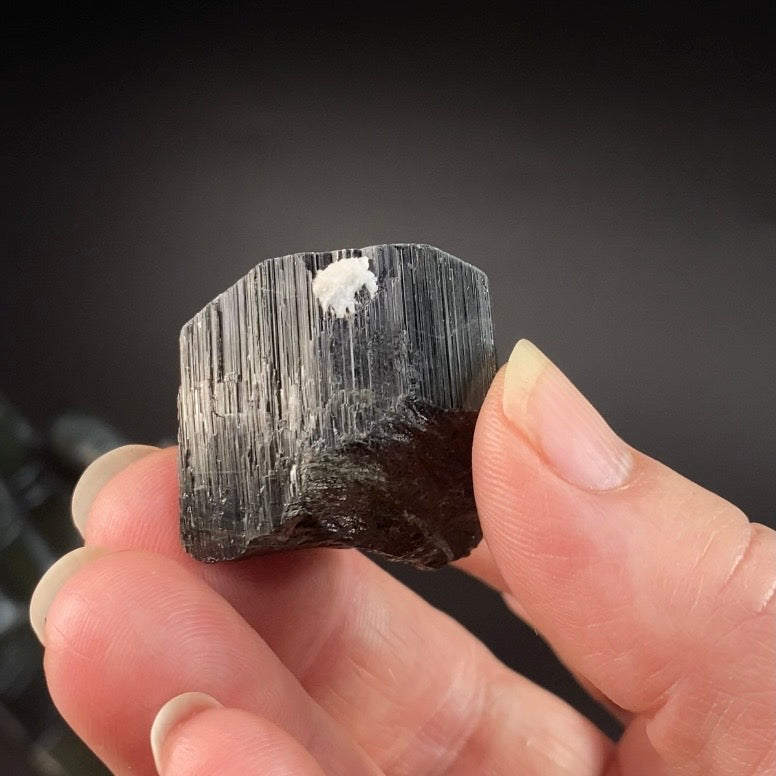 Terminated Black Tourmaline Schorl Crystal from Shigar Valley, Pakistan