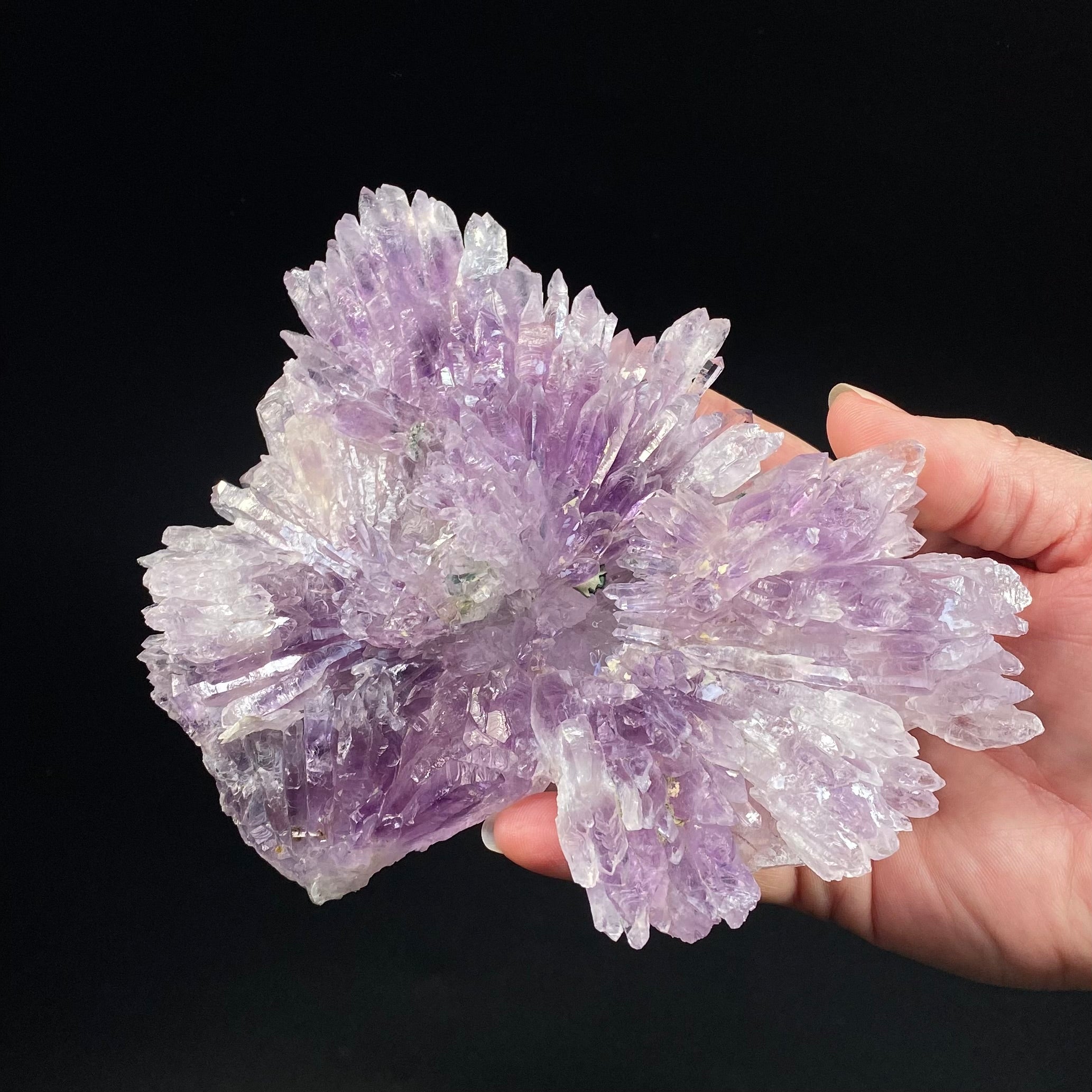 Amethyst Crystal Flower from Ametista do Sul, Brazil