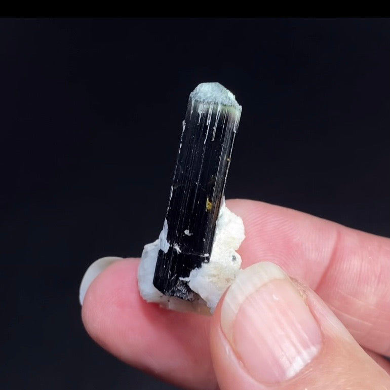 Terminated Bicolor Black Tourmaline Schorl Crystal with Feldspar from Shigar Valley, Pakistan