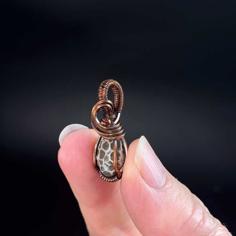 Fossilized 380 Million Year Old Pleurodictyum Coral & Copper Wire Wrapped Pendant