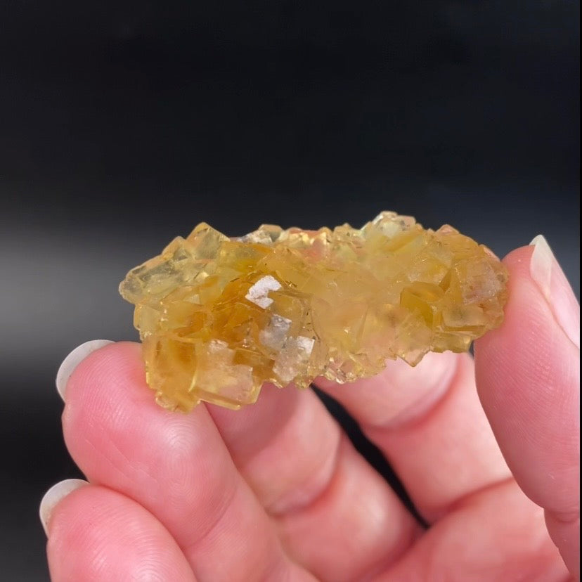 Yellow Moscona Cubic Fluorite Cluster from Asturias Spain - Phosphorescent