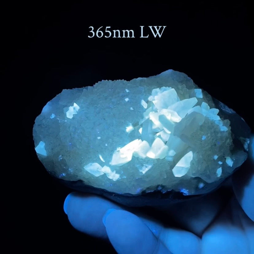 Phosphorescent Golden Honey Calcite Crystals on Druzy Quartz in Basalt Pocket