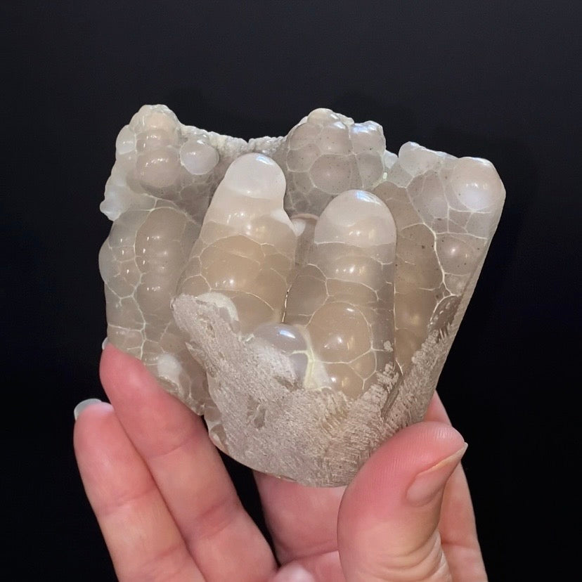 Botryoidal Chalcedony Formed in Basalt Vesicle – Maharashtra, India