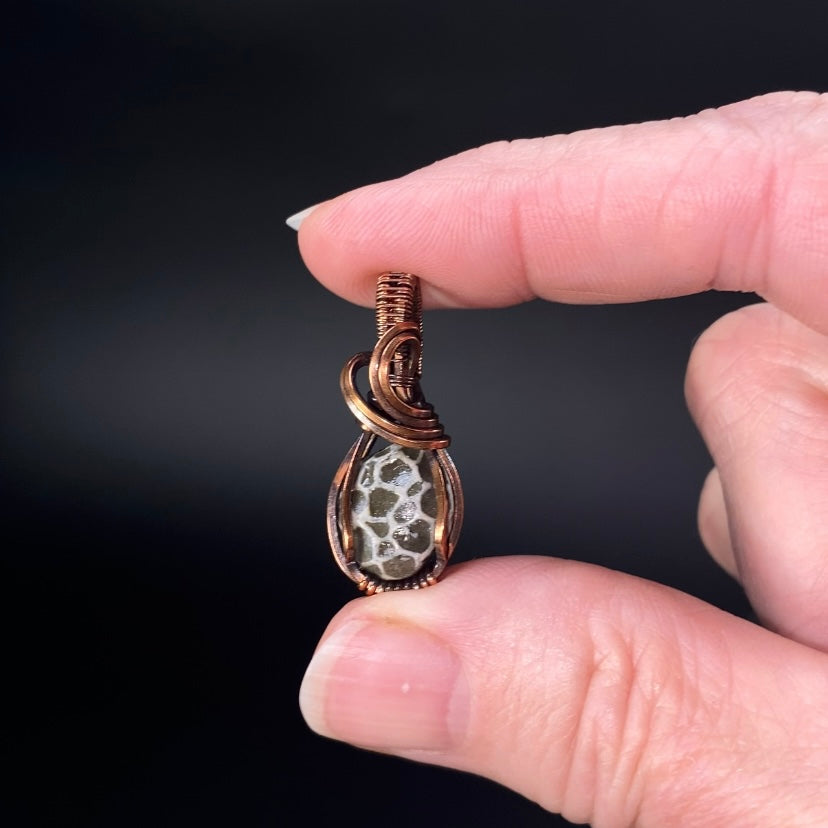 Fossilized 380 Million Year Old Pleurodictyum Coral & Copper Wire Wrapped Pendant