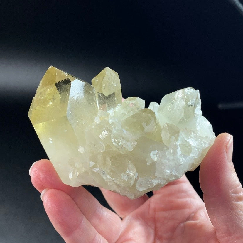 Natural Golden Citrine Quartz Cluster with Dow & Generator Crystals