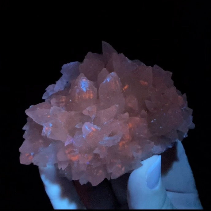 Scalenohedral DogTooth Calcite on Blue Purple Fluorite Matrix, UV Reactive, Fluorescent