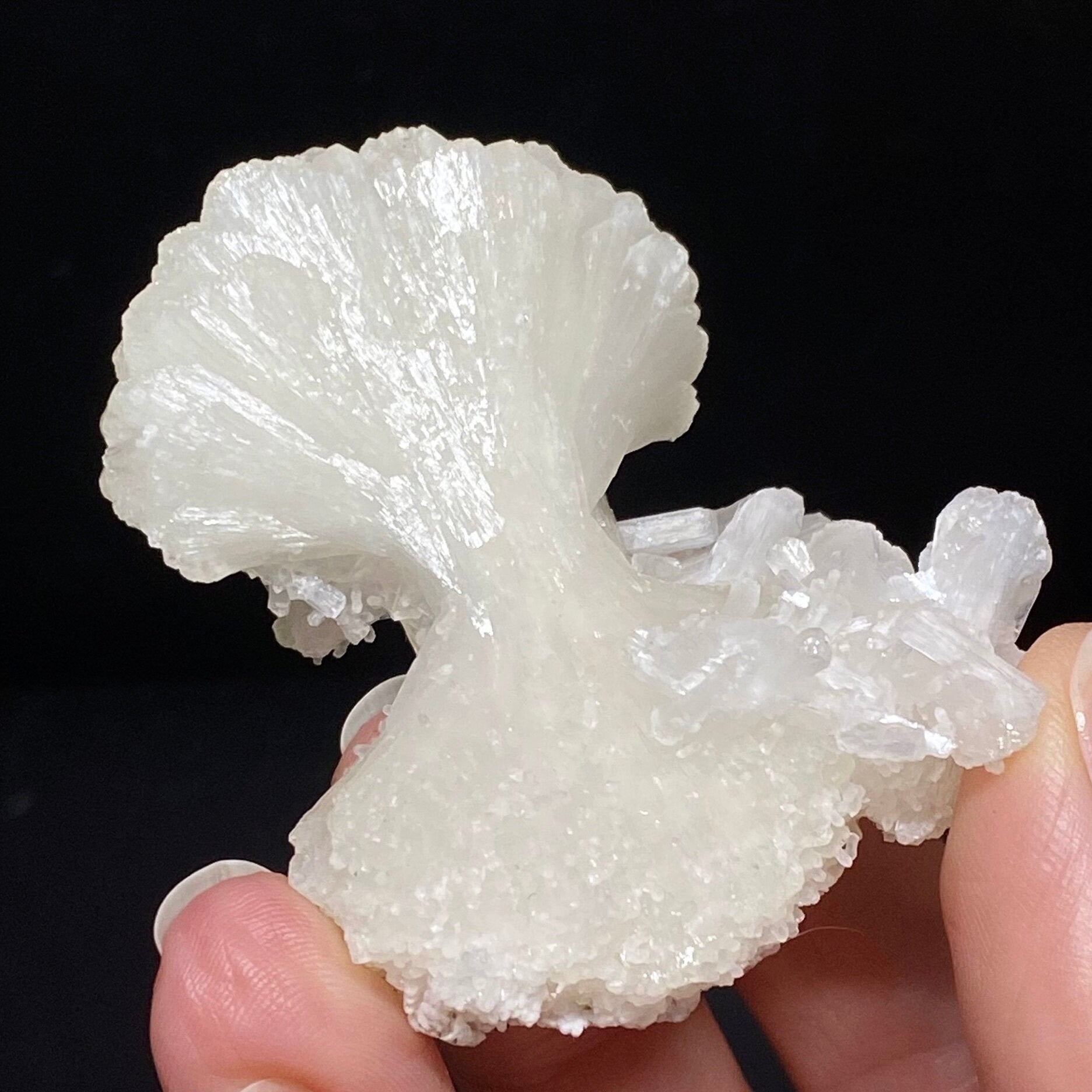 Stilbite Bow Tie Cluster