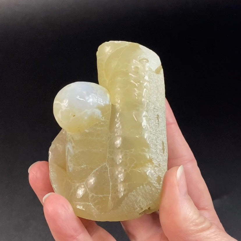 Botryoidal Chalcedony with Internal Structure – Maharashtra, India