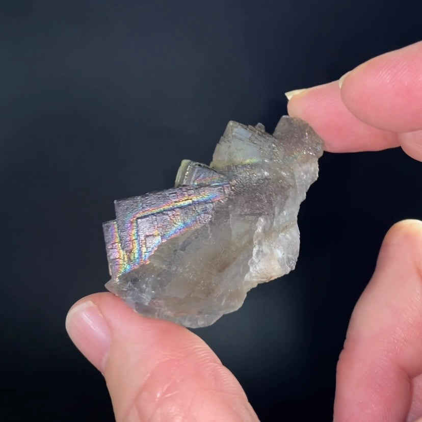 Blue and Gray Cubic Fluorite Cluster with Rainbow Iridescent Iron Oxide Surface