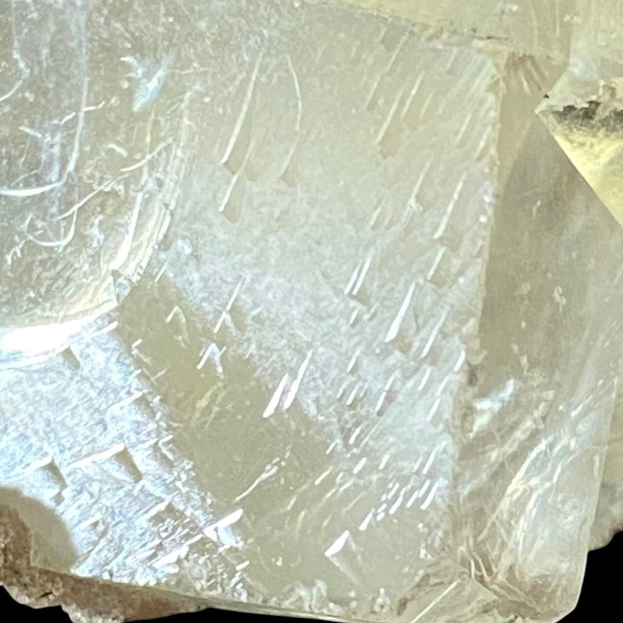 Light Golden Rhombic Calcite Cluster with Record Keepers