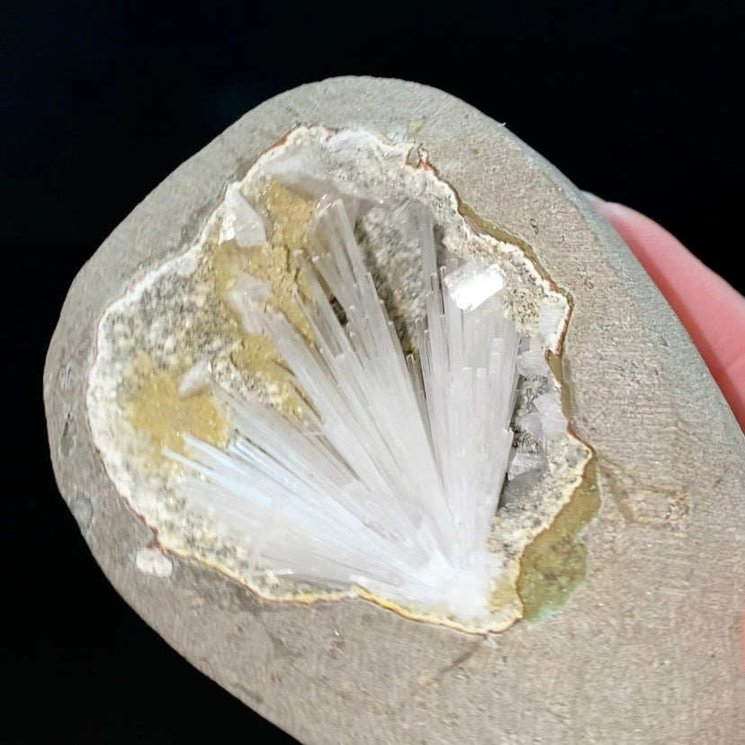 Radiating Scolecite Crystals with Clear Heulandite in Trimmed Basalt Pocket