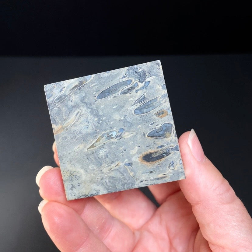 Fossilized Palm Root Ball Polished Cube from Sumatra, Indonesia