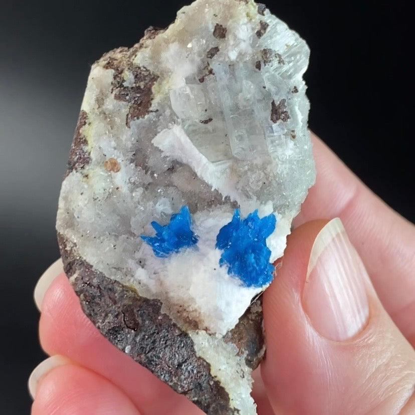 Vibrant Blue Cavansite & Pentagonite Clusters on Druzy Stilbite Over Basalt Matrix