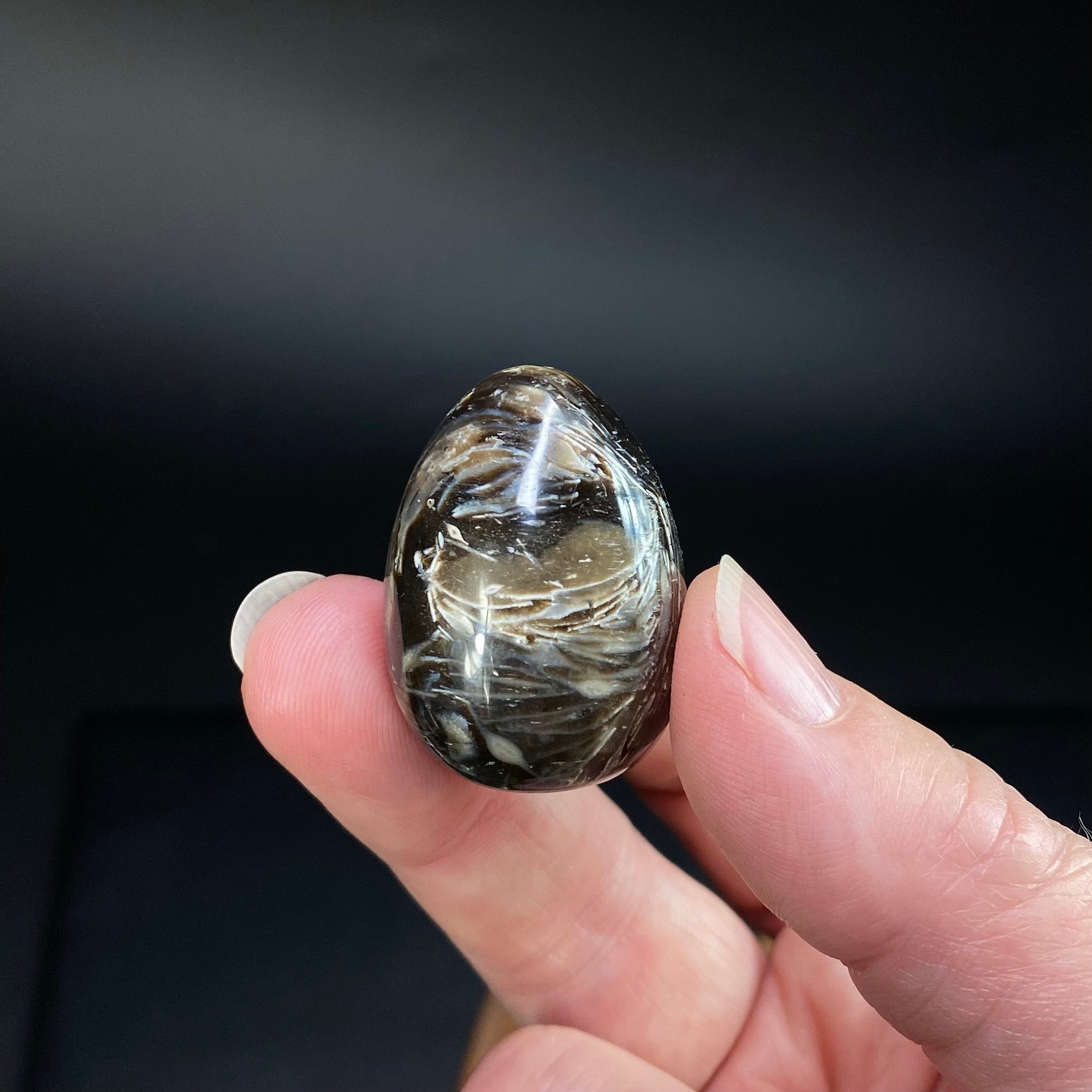 Feather Agate Polished Tumble Stone