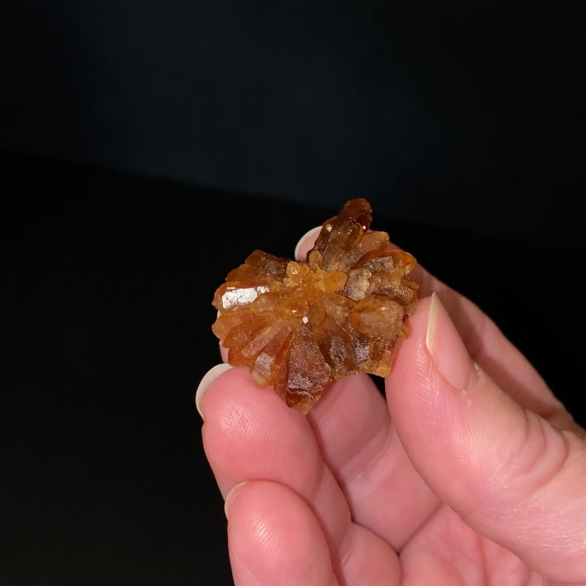 Floater Citrine Colored Honey Brown Quartz Cluster - Midelt, Morocco