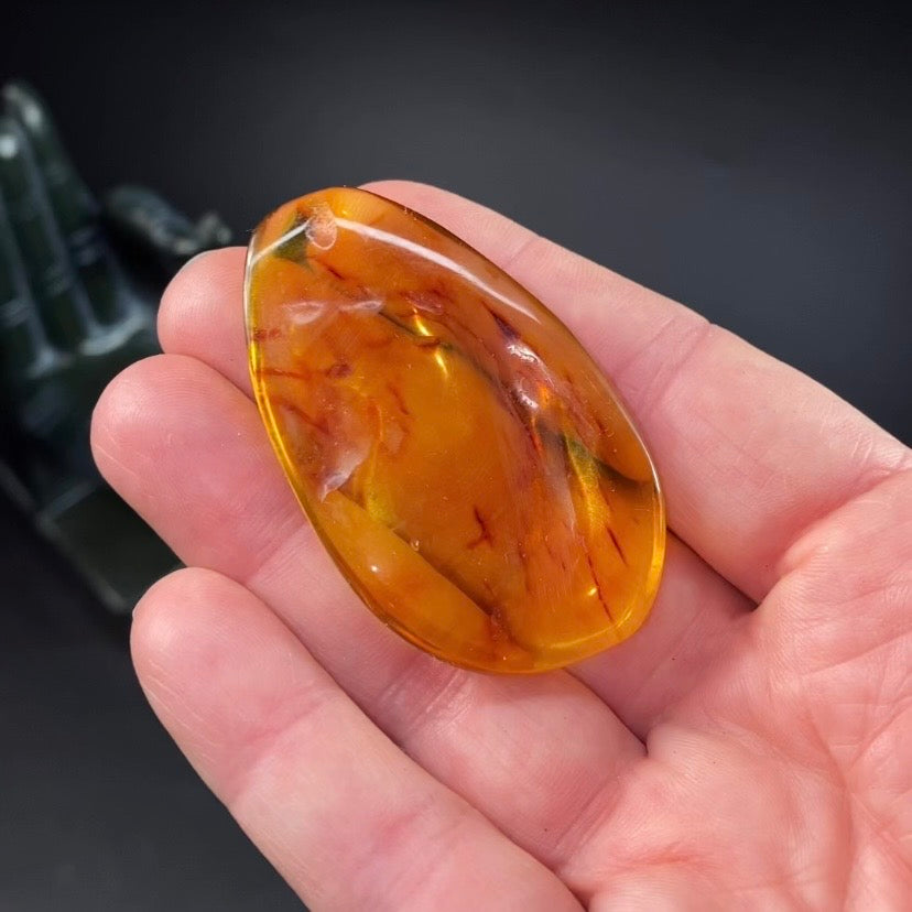 Polished Amber with Inclusions from Cimitarra, Colombia