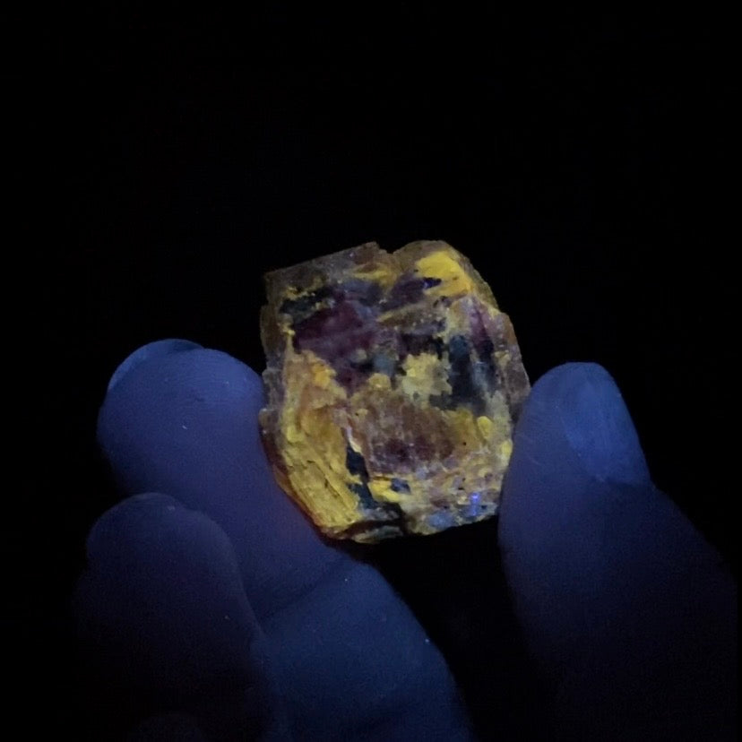 Zircon Crystal with Bright Yellow Fluorescent Apatite Inclusions
