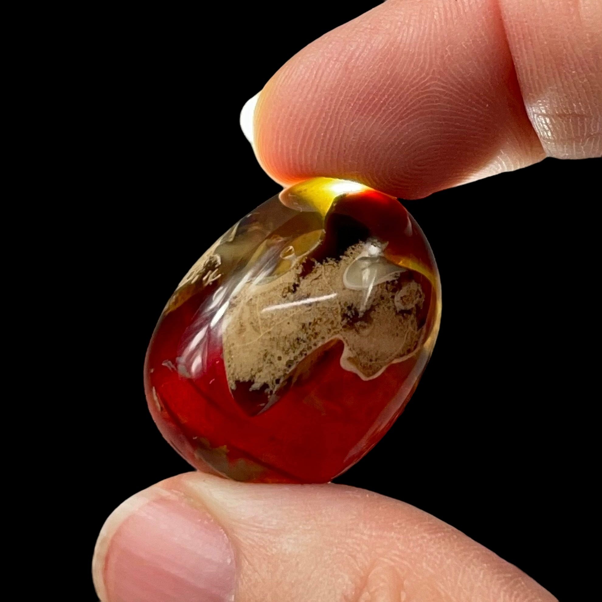 ONE Sumatran Amber Tumbled Stone, Two Sizes Available