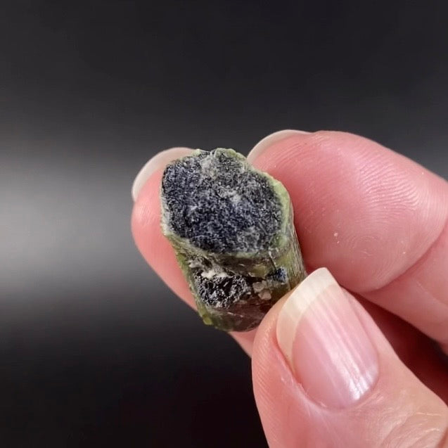 Chatoyant Green Cat's Eye Tourmaline Crystal, Pech, Afghanistan