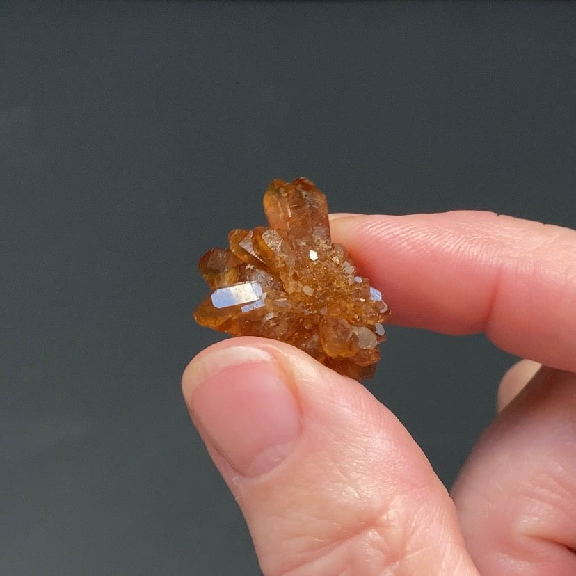 Floater Citrine Colored Honey Brown Quartz Flower Cluster - Midelt, Morocco