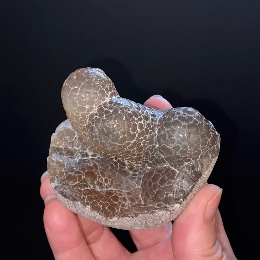 Textural Botryoidal Chalcedony with Vertical Columns – Maharashtra, India