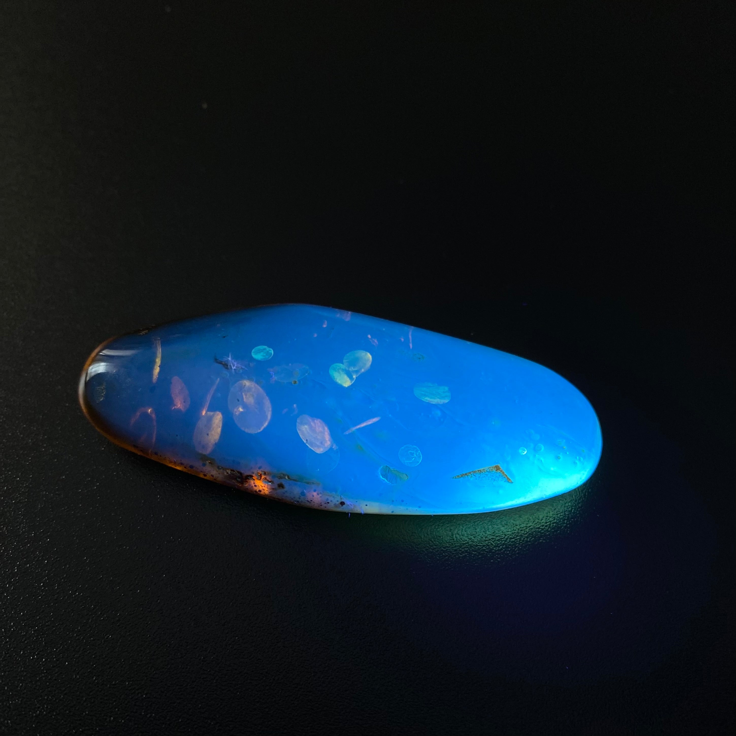 Polished Colombian Amber with Insect Inclusion from Cimitarra, Fluorescent