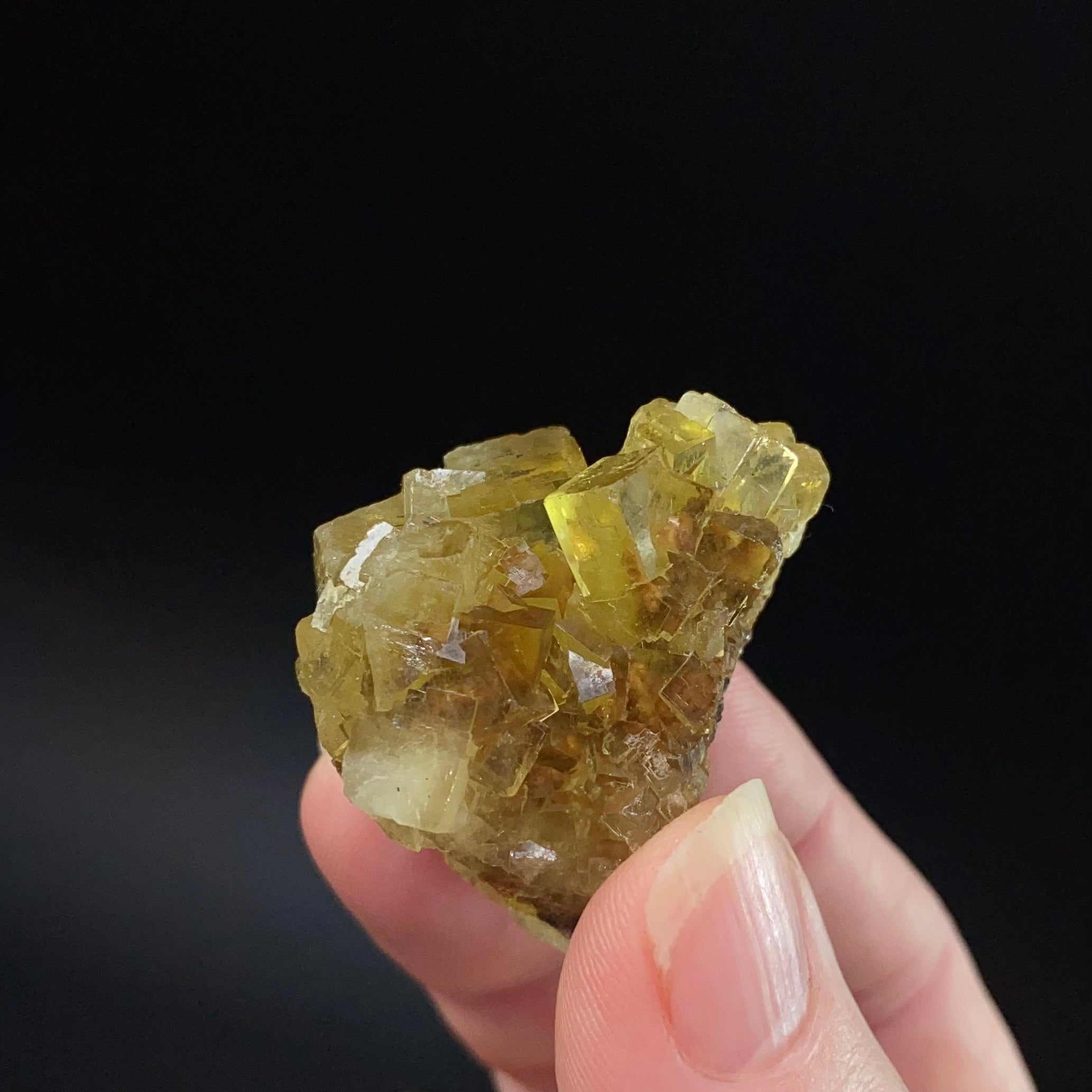 Yellow Moscona Cubic Fluorite Cluster from Asturias Spain