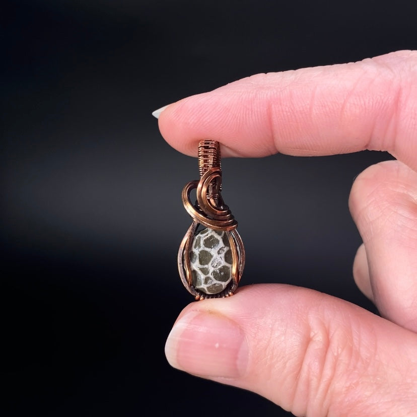 Fossilized 380 Million Year Old Pleurodictyum Coral & Copper Wire Wrapped Pendant
