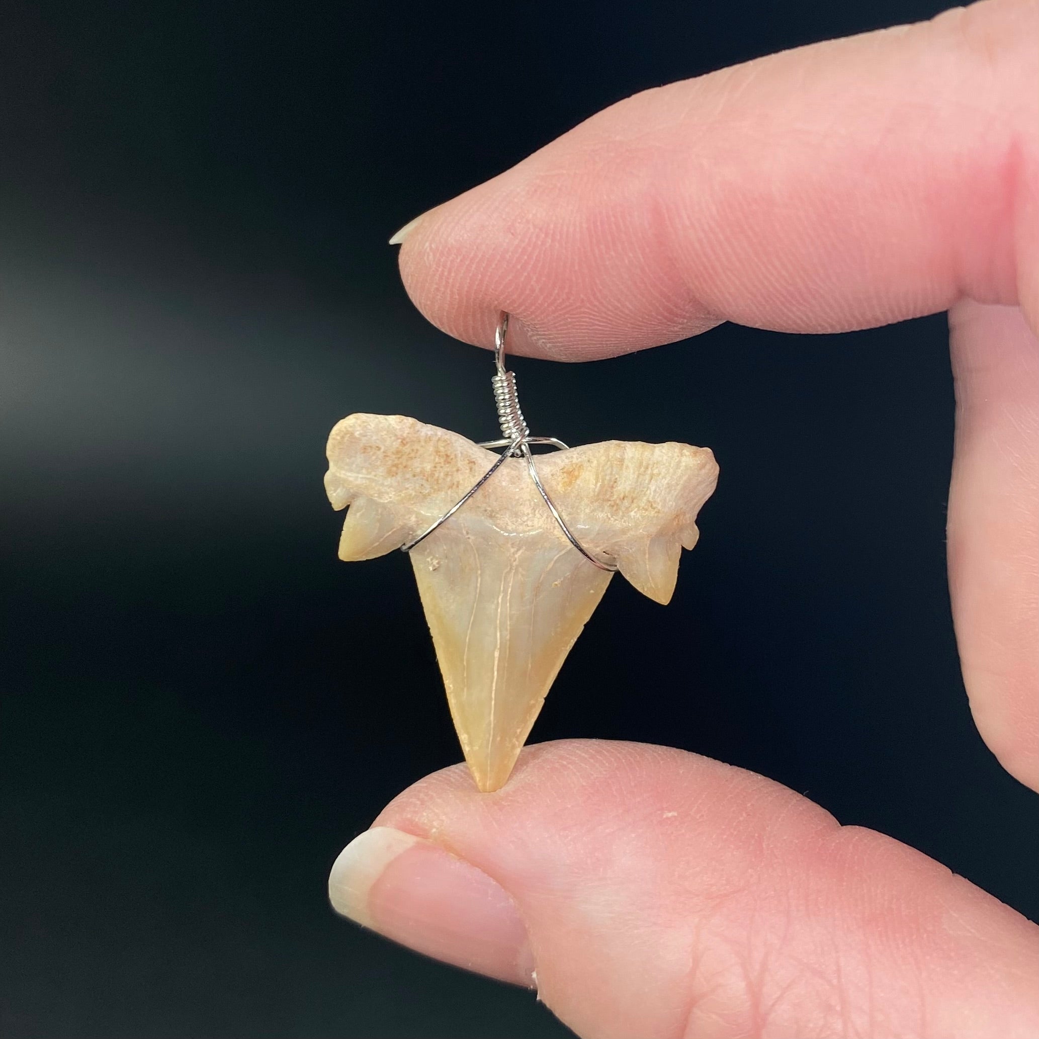Fossil Mackerel Shark Tooth Wire Pendant