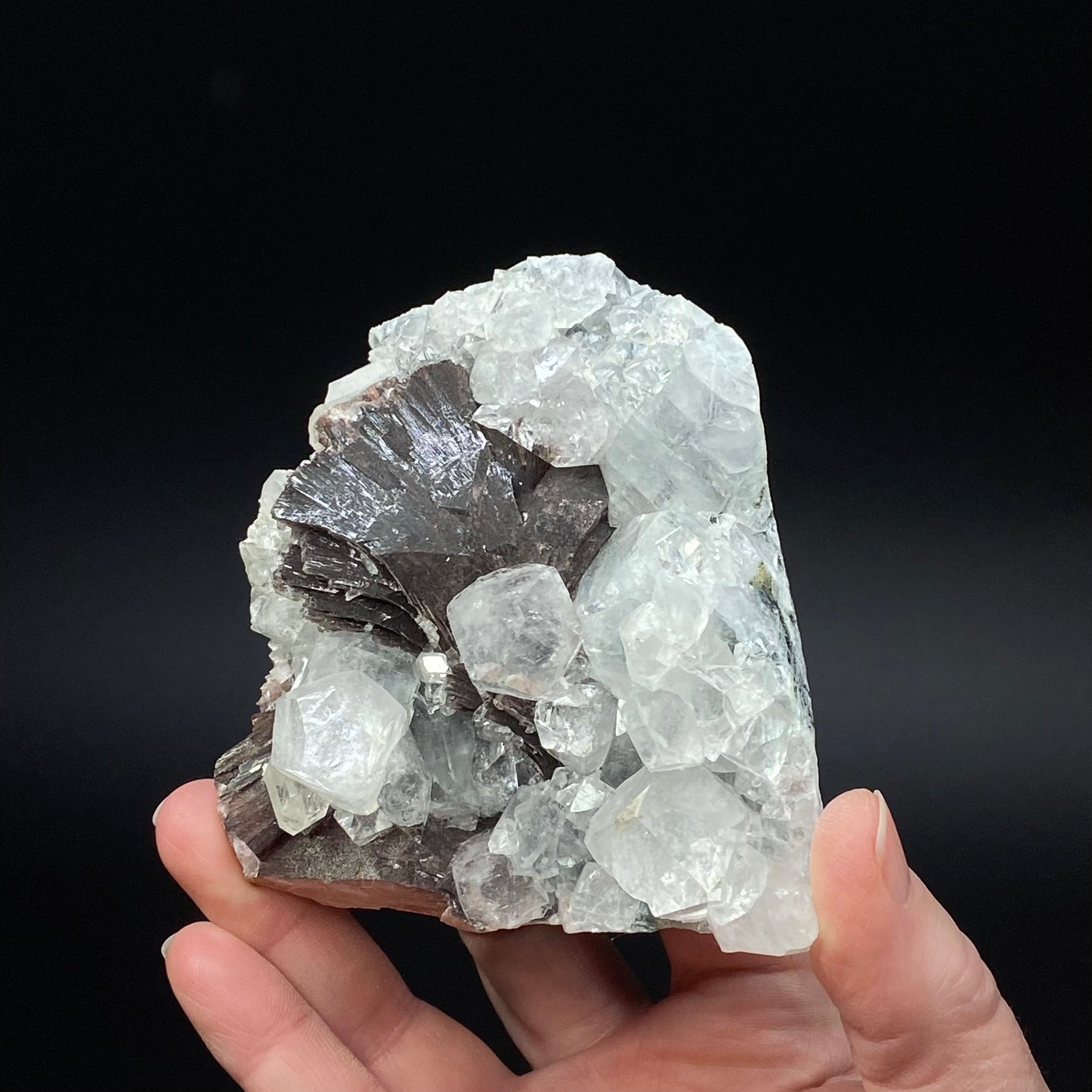 Rare Red-Brown Heulandite Fans with Clear Apophyllite Crystals in a Trimmed-out Pocket of Volcanic Basalt Matrix