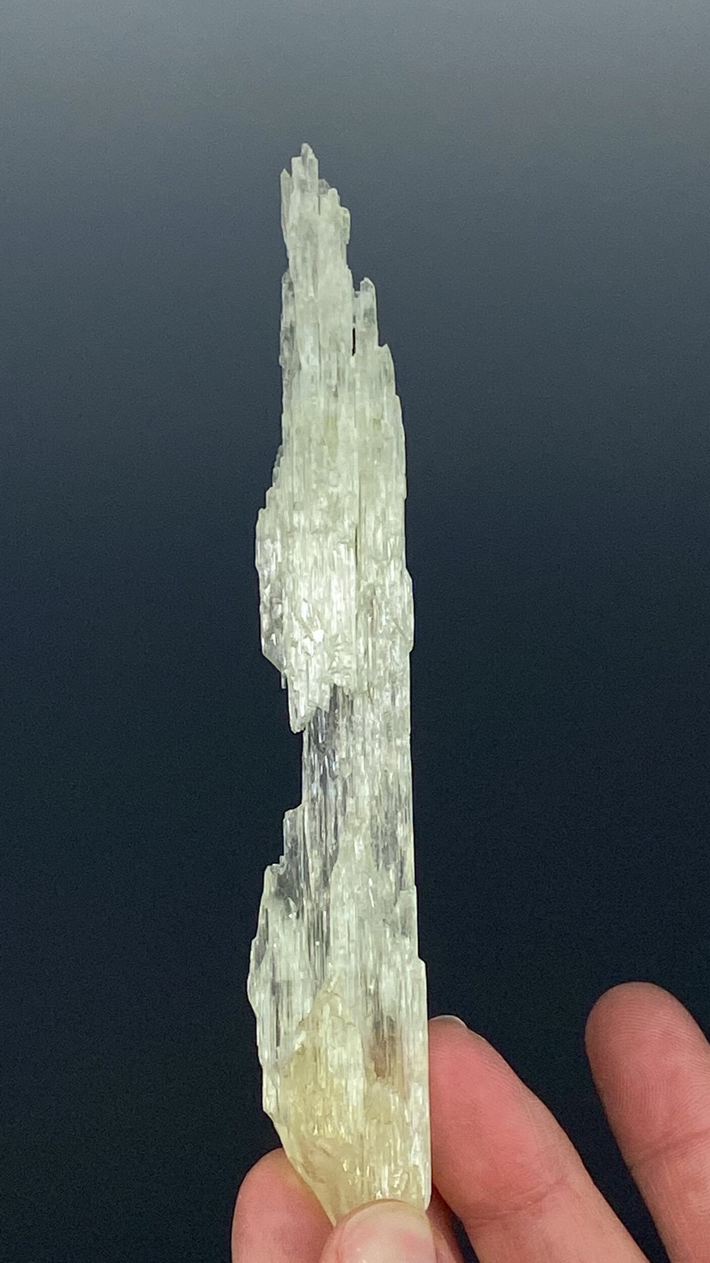 Etched Yellow Triphane / Spodumene Crystal - Yellow Kunzite - UV Reactive