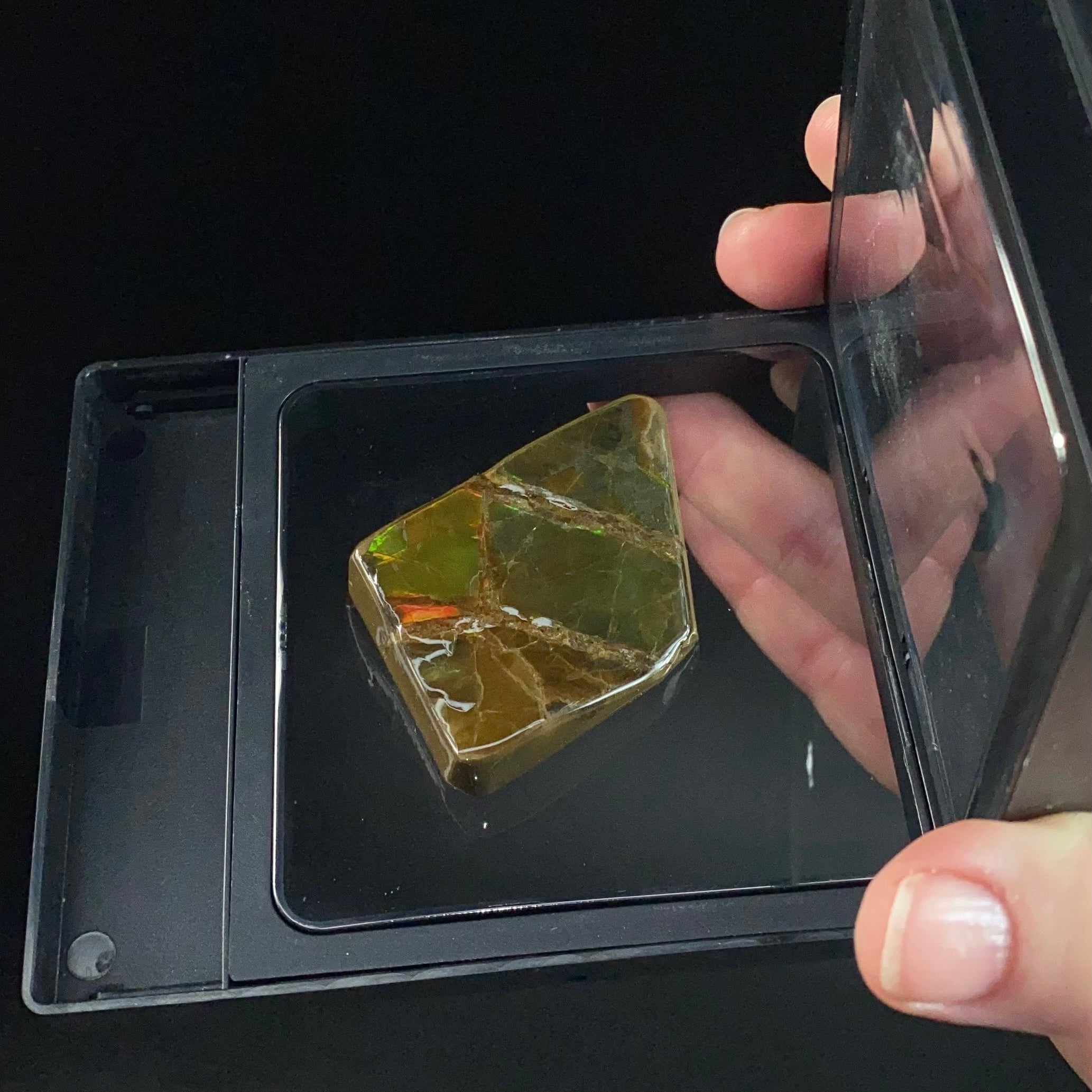 Canadian Korite Ammolite Hand Specimen in Display Box