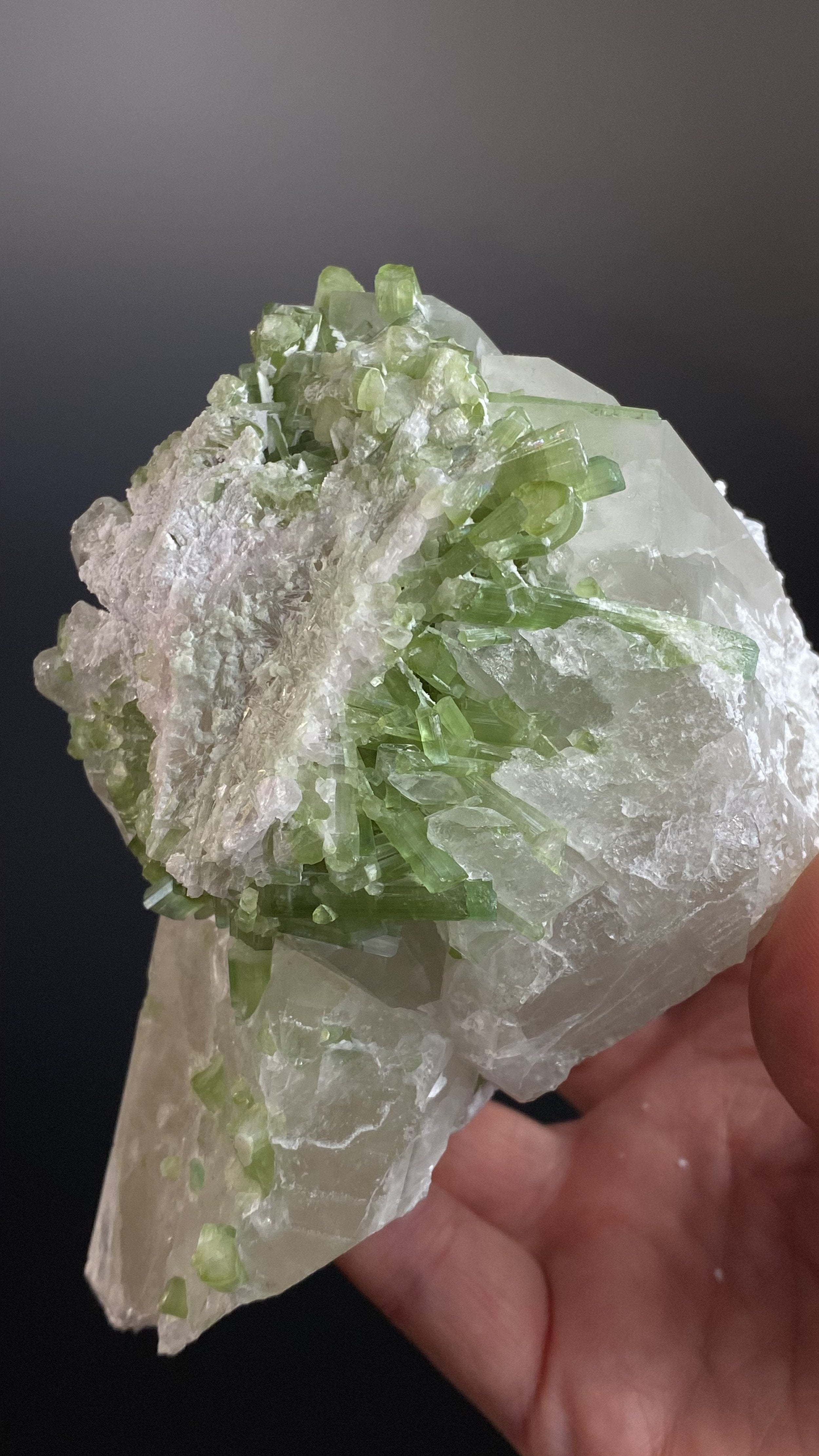 Green Tourmaline Crystals with Lepidolite on Quartz, Laghman, Afghanistan