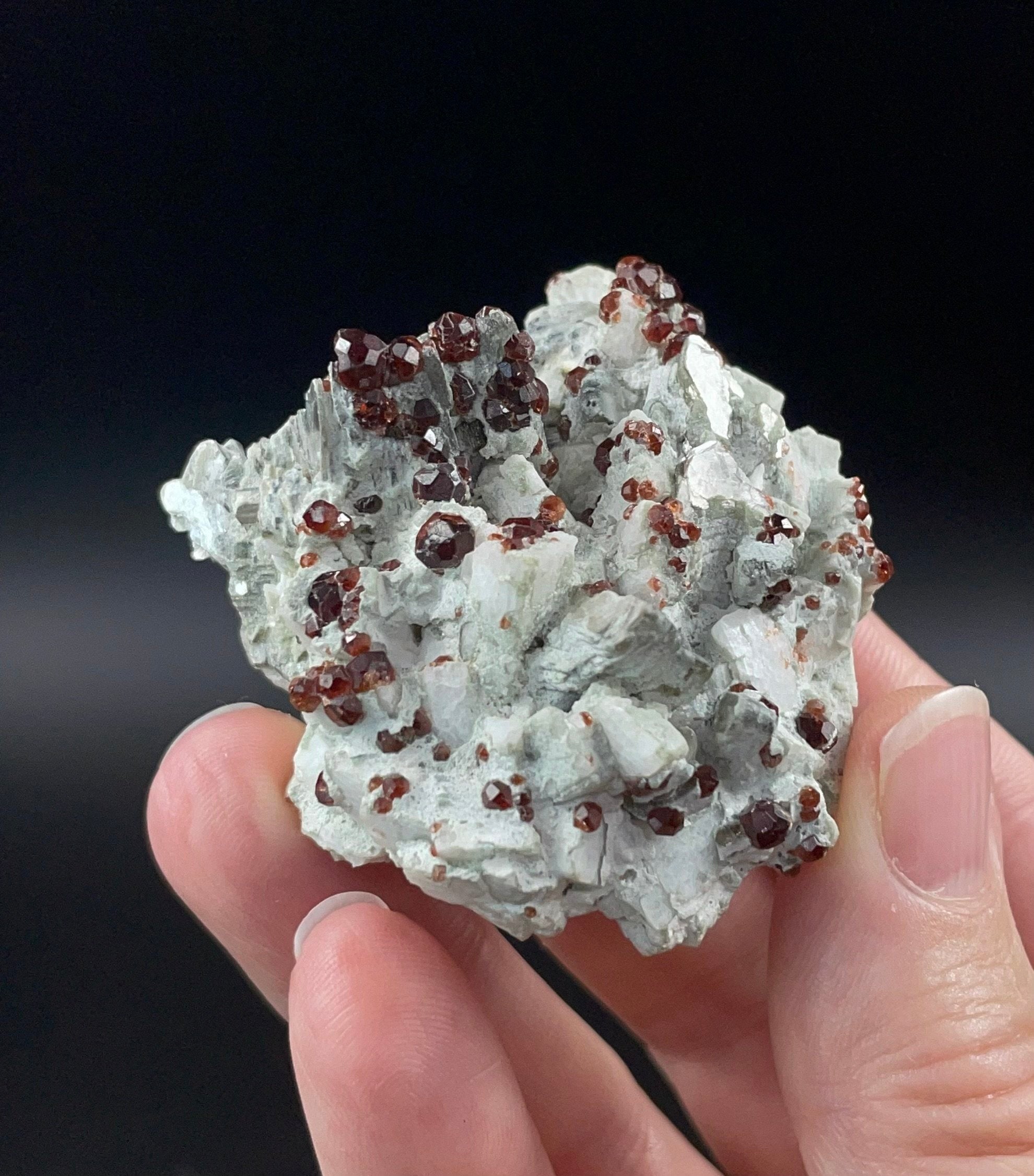 Red Garnets on Albite Matrix with Mica and Quartz