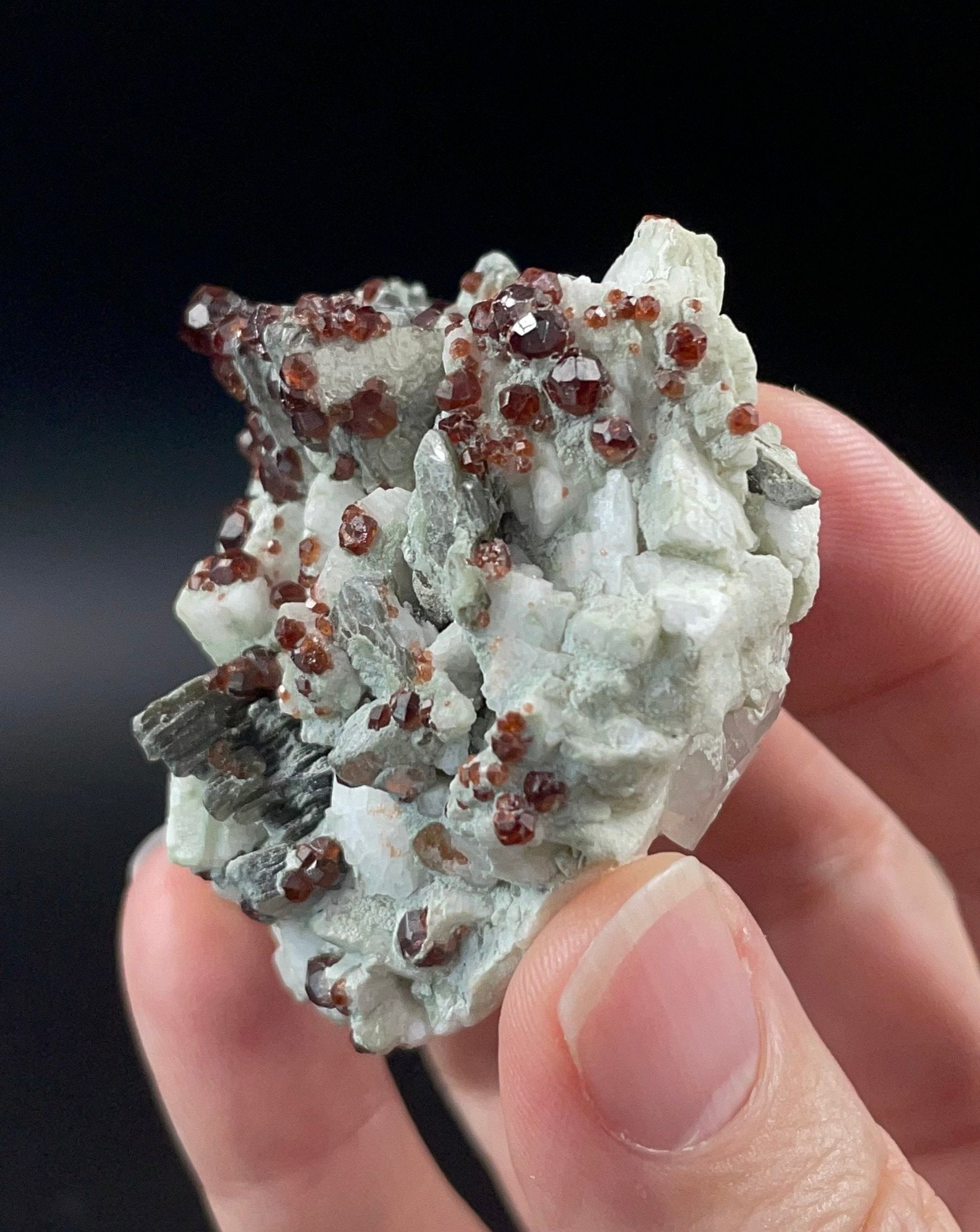 Red Garnets on Albite Matrix with Mica and Quartz