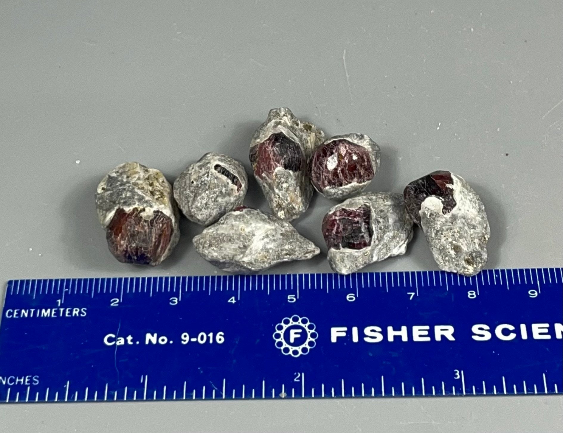 ONE (1) Red Garnet Crystal on Mica Schist Specimen