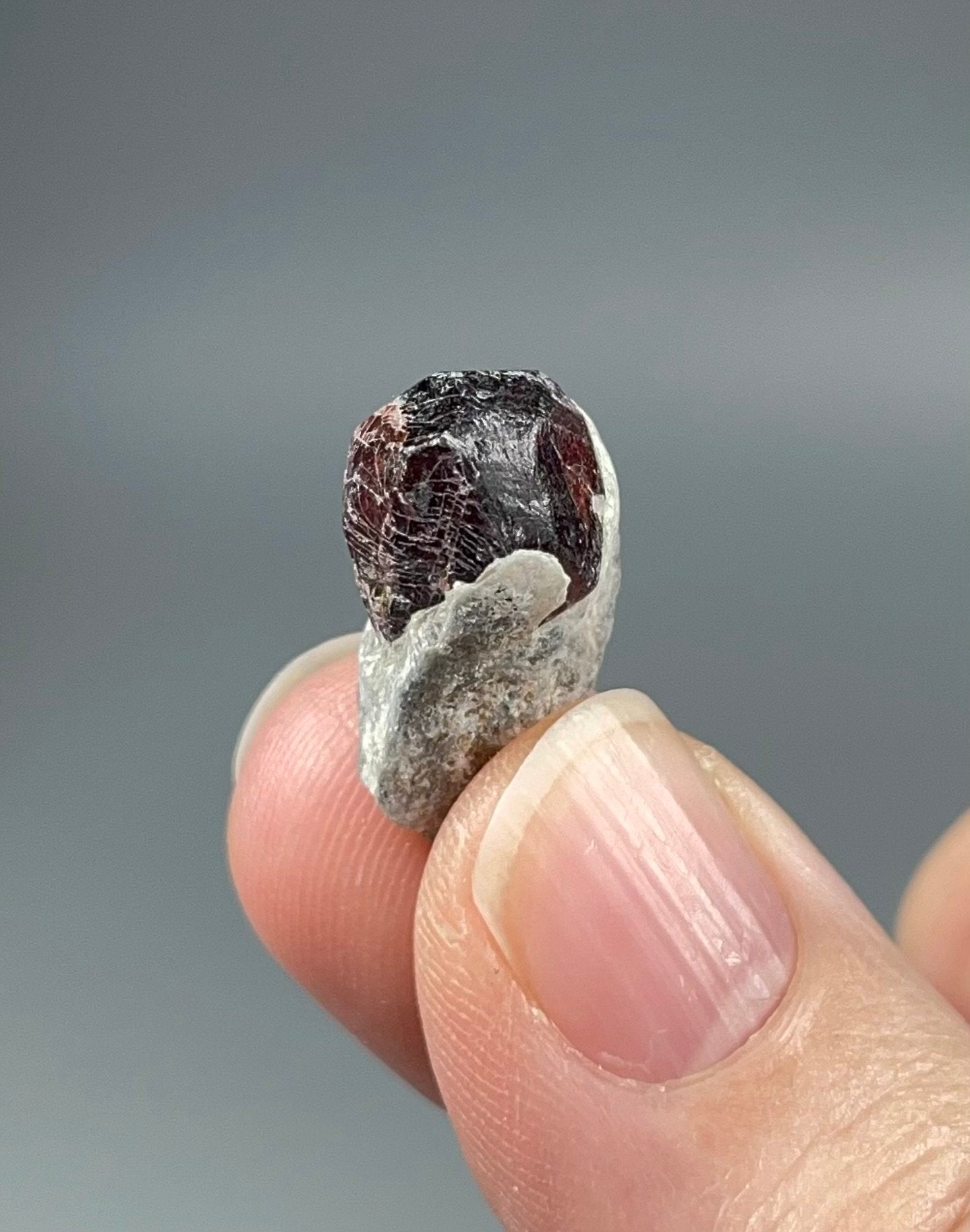 ONE (1) Red Garnet Crystal on Mica Schist Specimen