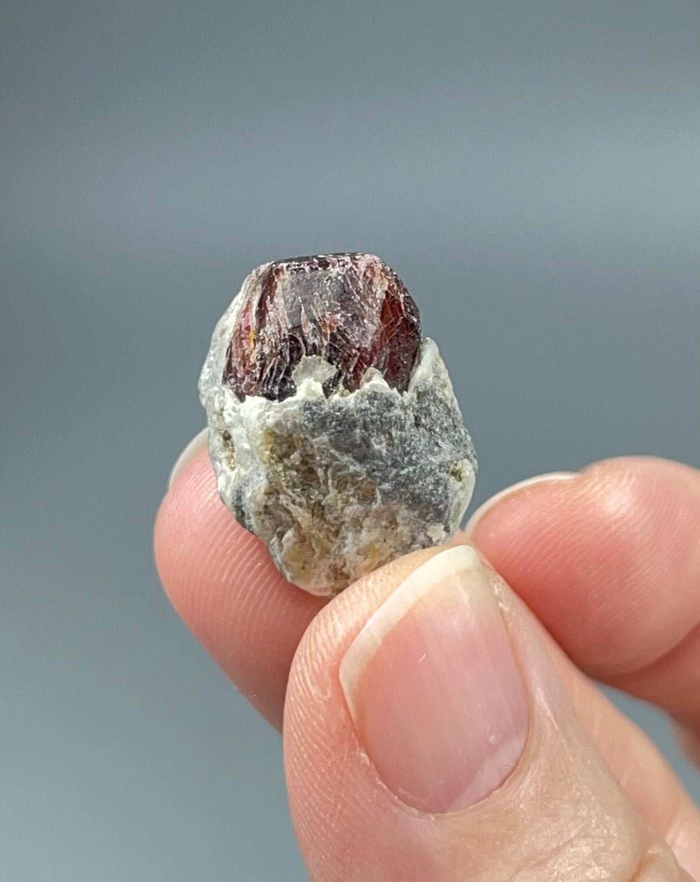 ONE (1) Red Garnet Crystal on Mica Schist Specimen