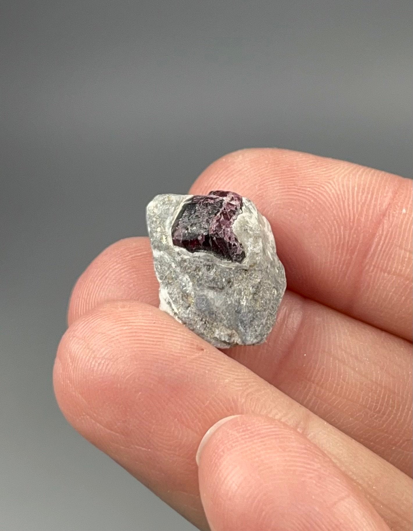 ONE (1) Red Garnet Crystal on Mica Schist Specimen