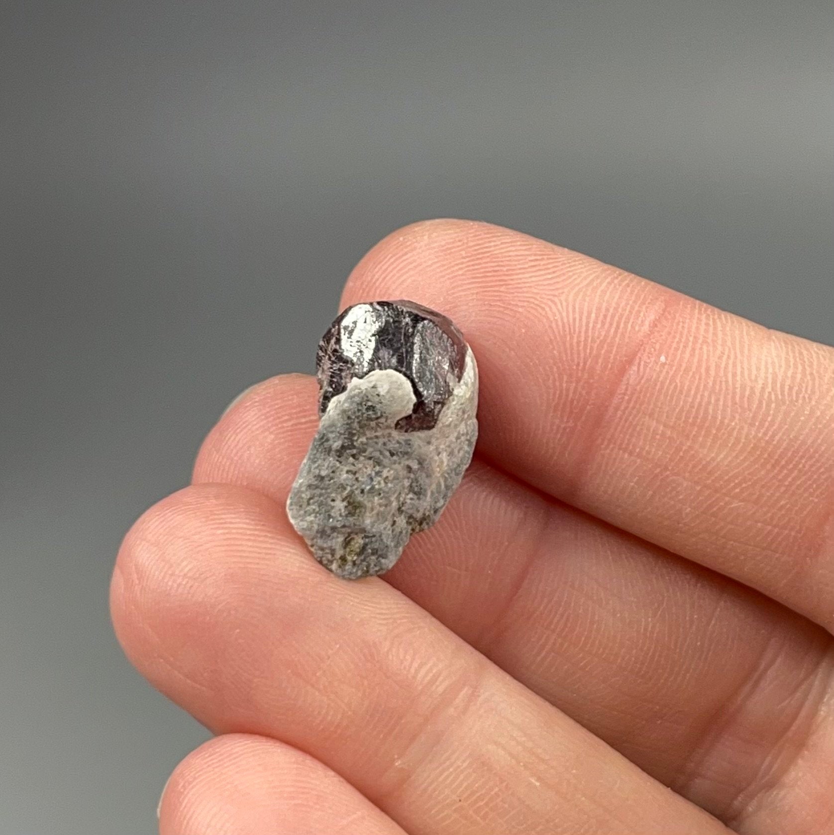 ONE (1) Red Garnet Crystal on Mica Schist Specimen