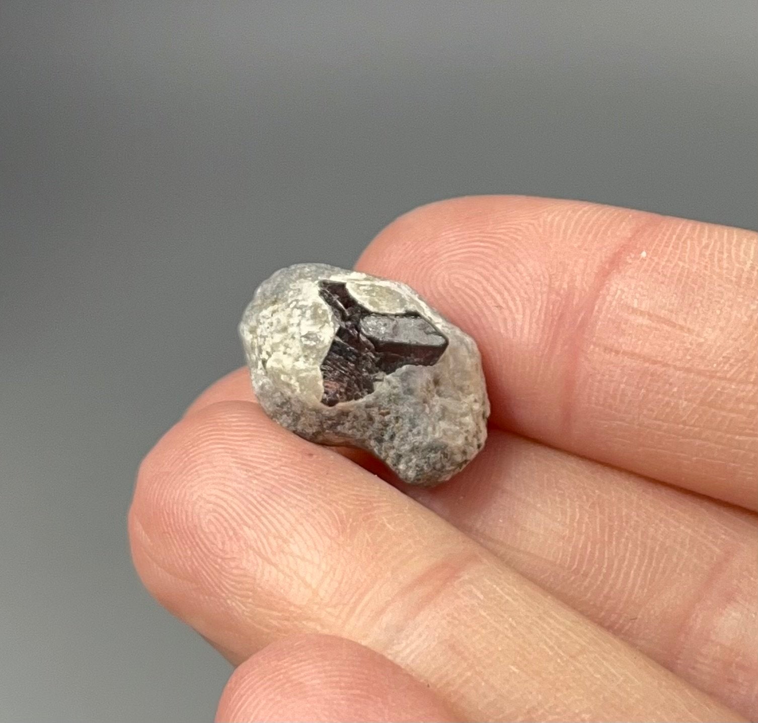 ONE (1) Red Garnet Crystal on Mica Schist Specimen