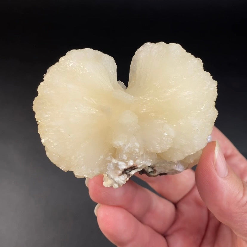 Stilbite Bow Tie Cluster with Stilbite Blades on Matrix