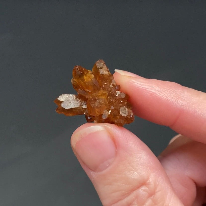 Floater Citrine Colored Honey Brown Quartz Flower Cluster - Midelt, Morocco