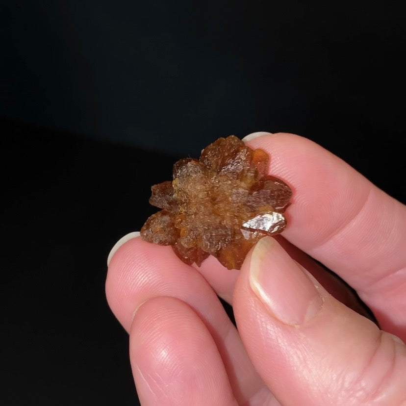 Floater Citrine Colored Honey Brown Quartz Flower Cluster - Midelt, Morocco