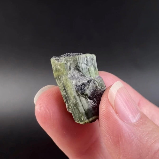 Chatoyant Green Cat's Eye Tourmaline Crystal, Pech, Afghanistan