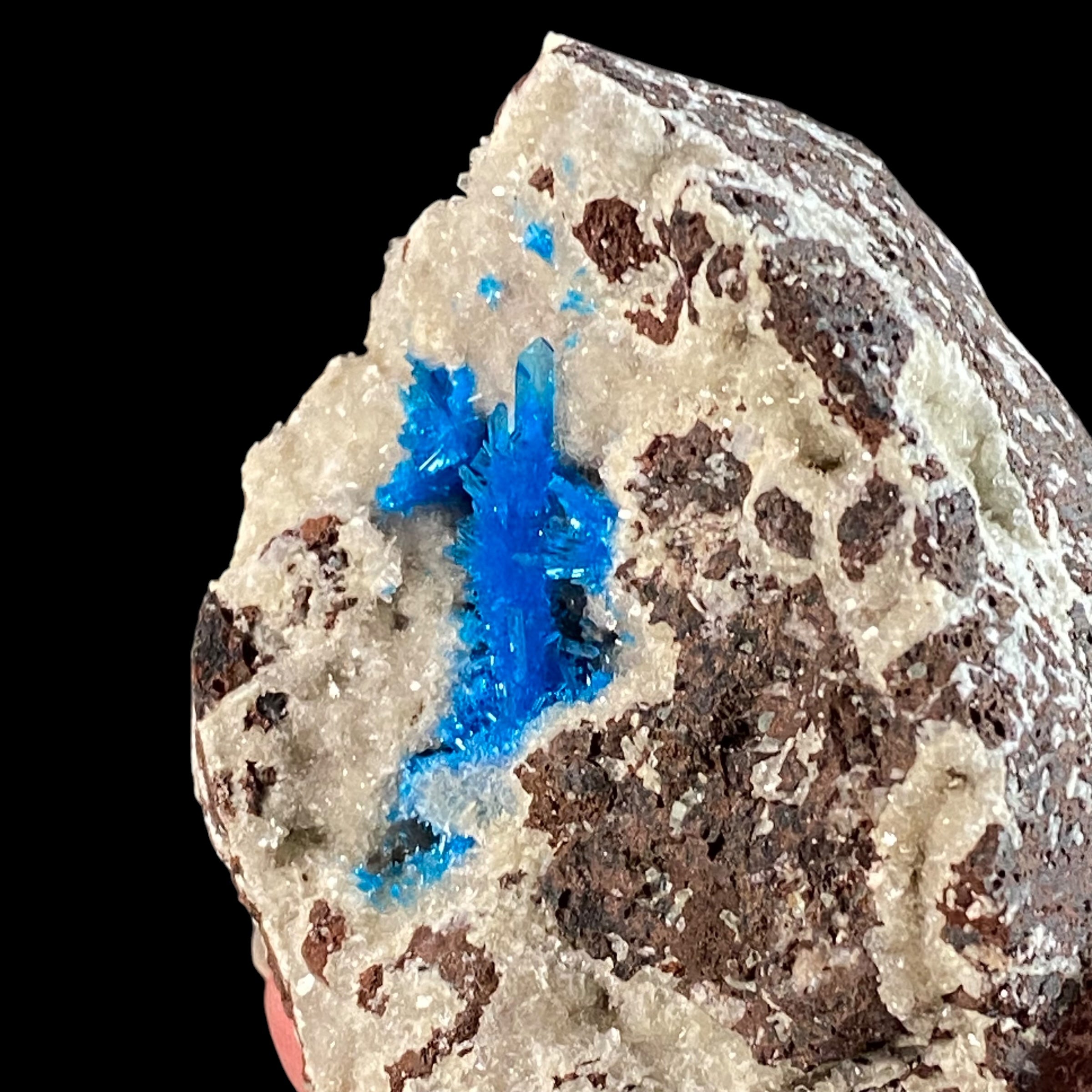 Vibrant Blue Pentagonite Clusters on Druzy Stilbite & Basalt Matrix