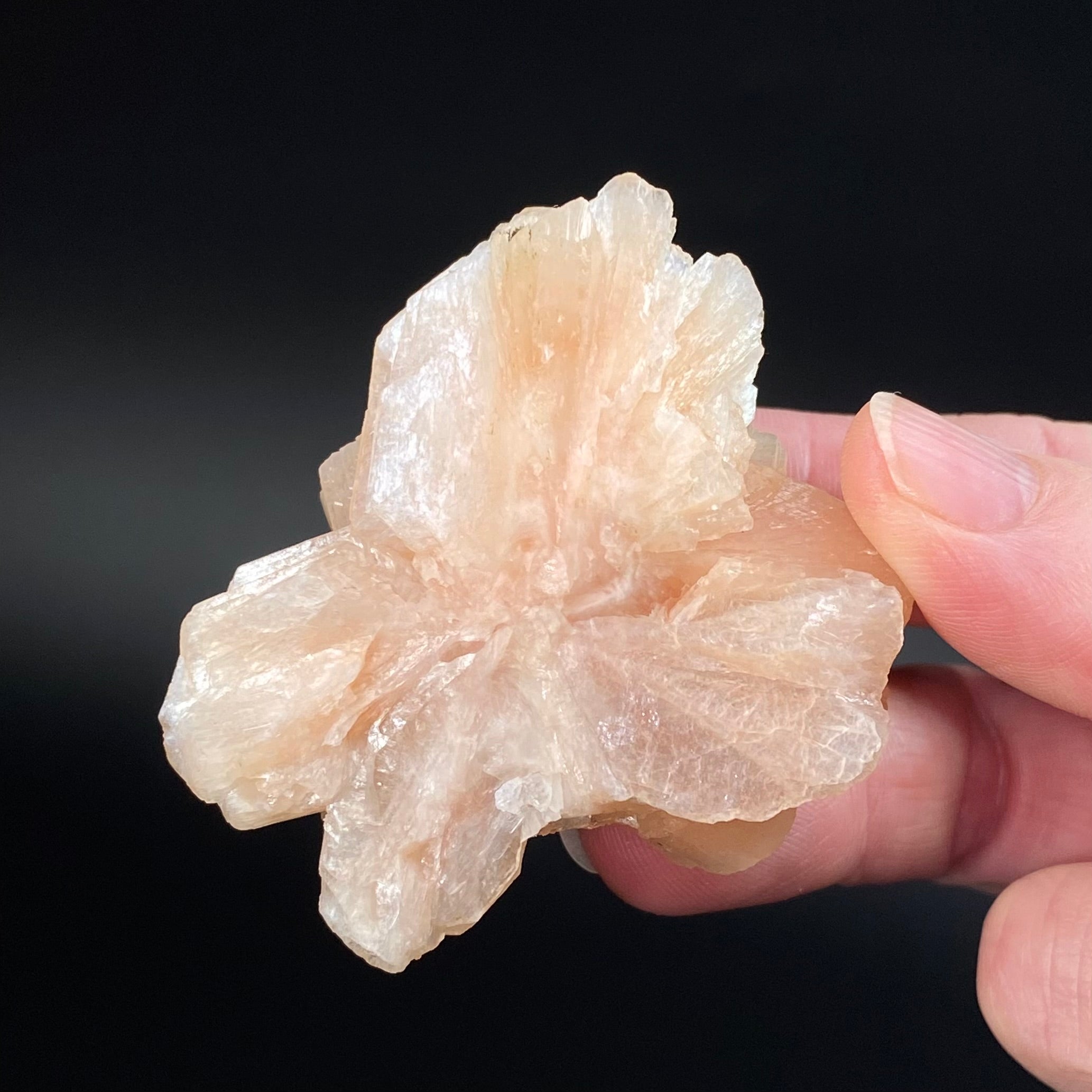 Peach Stilbite Cluster