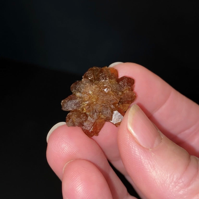 Floater Citrine Colored Honey Brown Quartz Flower Cluster - Midelt, Morocco